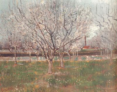 Vincent Van Gogh Orchard in Blossom (nn04) oil painting image